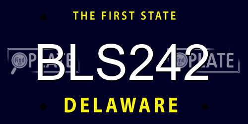 BLS242 Delaware License Plate