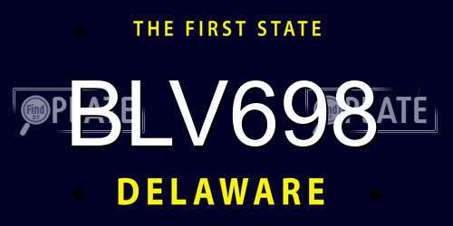 BLV698 Delaware License Plate