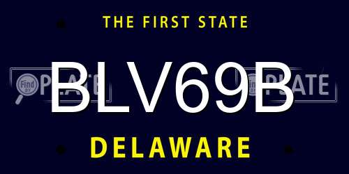 BLV69B Delaware License Plate
