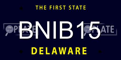 BNIB15 Delaware License Plate