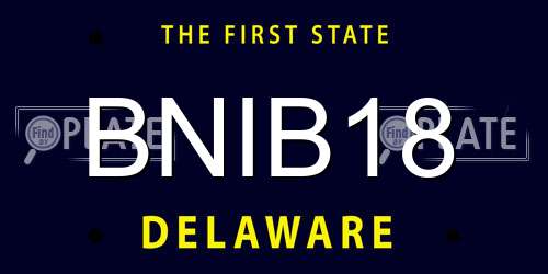 BNIB18 Delaware License Plate
