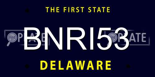 BNRI53 Delaware License Plate