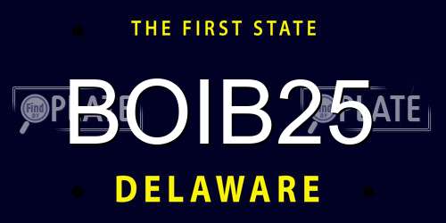 BOIB25 Delaware License Plate