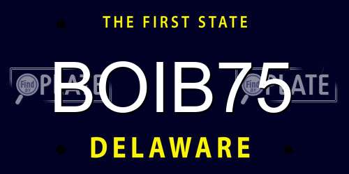 BOIB75 Delaware License Plate