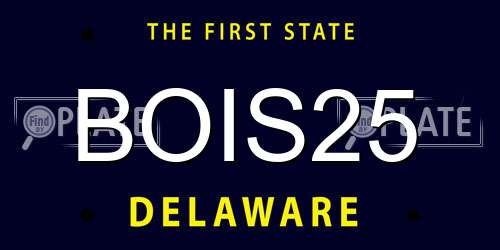 BOIS25 Delaware License Plate