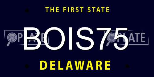 BOIS75 Delaware License Plate