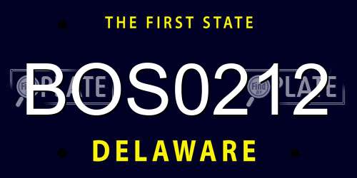 BOS0212 Delaware License Plate