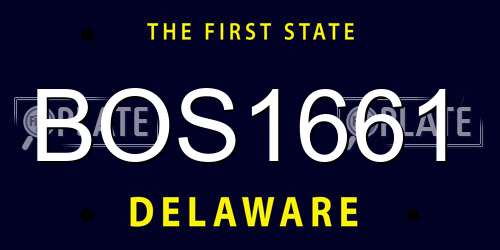 BOS1661 Delaware License Plate