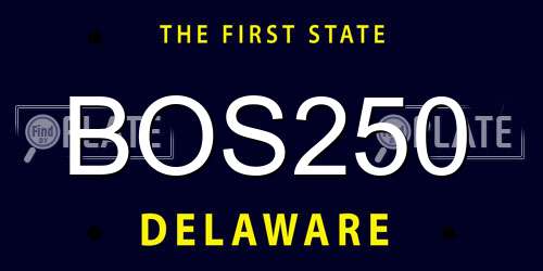 BOS250 Delaware License Plate