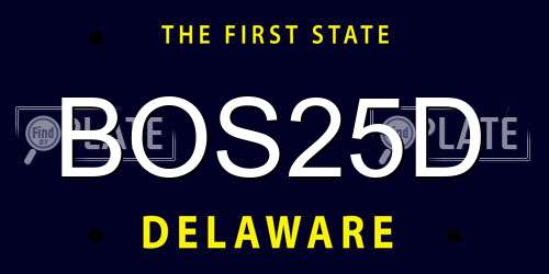 BOS25D Delaware License Plate
