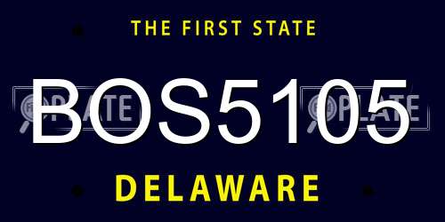 BOS5105 Delaware License Plate