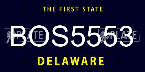 BOS5553 Delaware License Plate