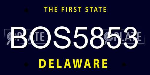 BOS5853 Delaware License Plate