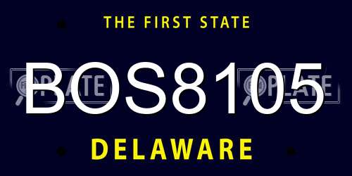 BOS8105 Delaware License Plate