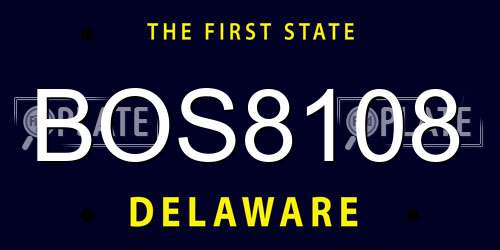 BOS8108 Delaware License Plate