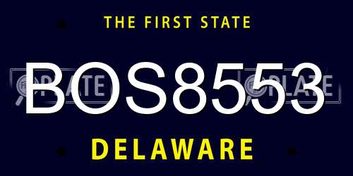BOS8553 Delaware License Plate