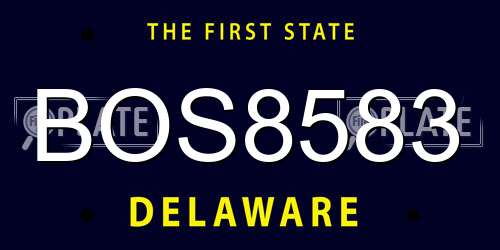 BOS8583 Delaware License Plate