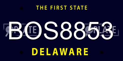 BOS8853 Delaware License Plate
