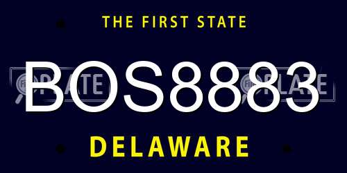 BOS8883 Delaware License Plate