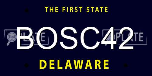 BOSC42 Delaware License Plate
