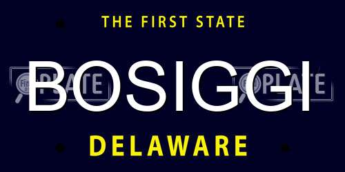 BOSIGGI Delaware License Plate