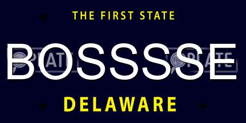 BOSSSSE Delaware License Plate