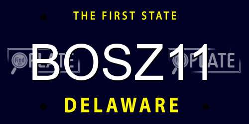 BOSZ11 Delaware License Plate