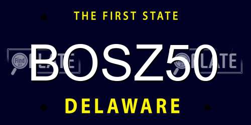 BOSZ50 Delaware License Plate