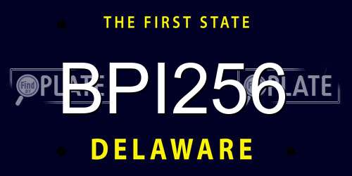 BPI256 Delaware License Plate