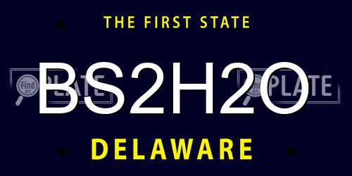 BS2H2O Delaware License Plate