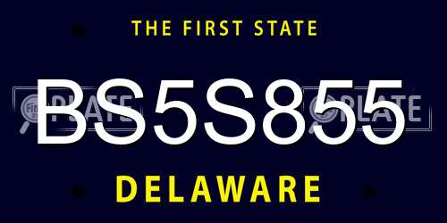 BS5S855 Delaware License Plate