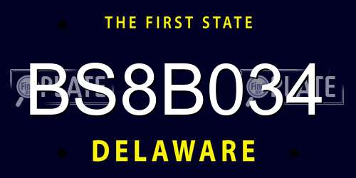 BS8B034 Delaware License Plate