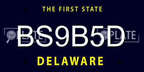 BS9B5D Delaware License Plate