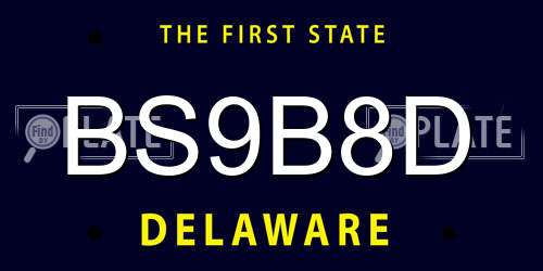 BS9B8D Delaware License Plate