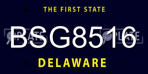 BSG8516 Delaware License Plate