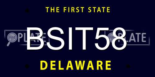 BSIT58 Delaware License Plate