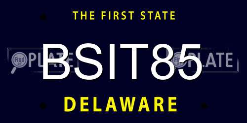 BSIT85 Delaware License Plate