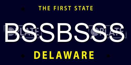 BSSBSSS Delaware License Plate