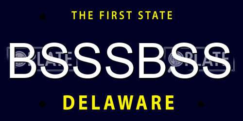 BSSSBSS Delaware License Plate