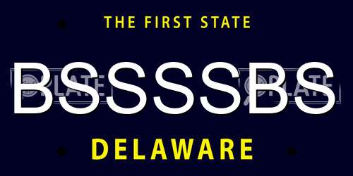 BSSSSBS Delaware License Plate