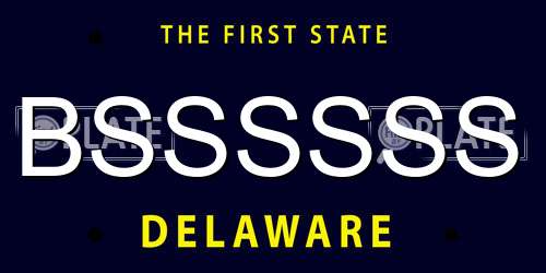 BSSSSSS Delaware License Plate