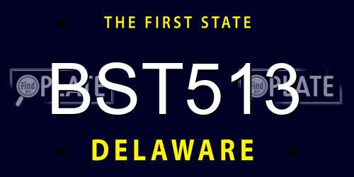 BST513 Delaware License Plate