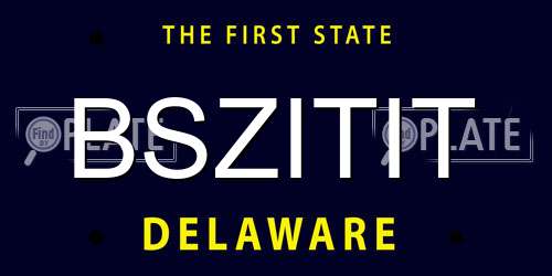 BSZITIT Delaware License Plate