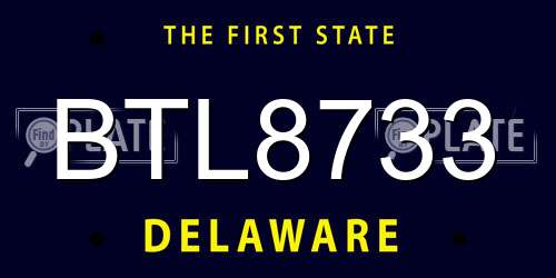 BTL8733 Delaware License Plate