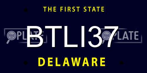 BTLI37 Delaware License Plate