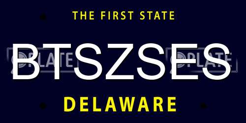 BTSZSES Delaware License Plate