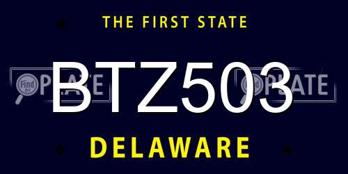 BTZ503 Delaware License Plate