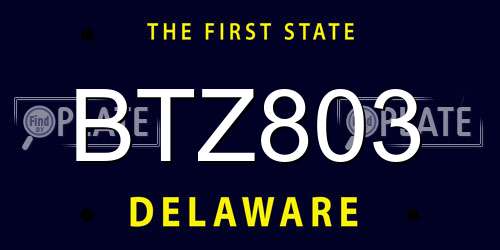 BTZ803 Delaware License Plate
