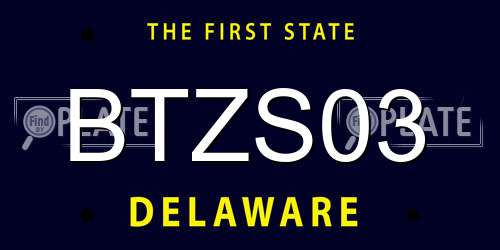 BTZS03 Delaware License Plate