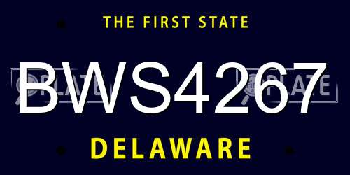 BWS4267 Delaware License Plate